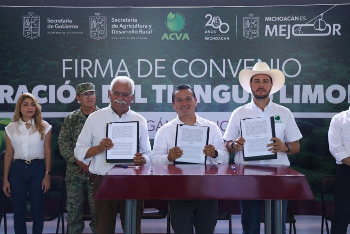 Control de Tianguis Limonero es avance, falta delinear estrategia de seguridad: Reyes Galindo