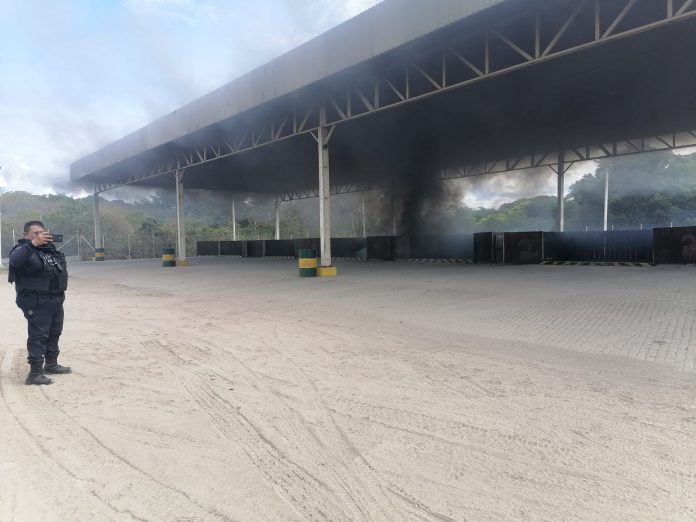 Intentan incendiar empaque de limón en la periferia de Apatzingán