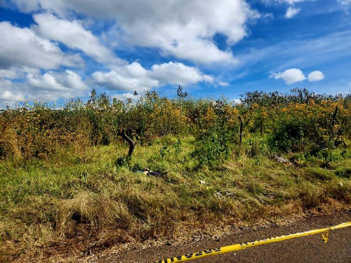Localizan dos asesinados a un costado de la carretera en Tangamandapio