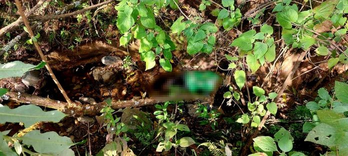 Joven es hallado muerto dentro de un barranco en el municipio de Ocampo