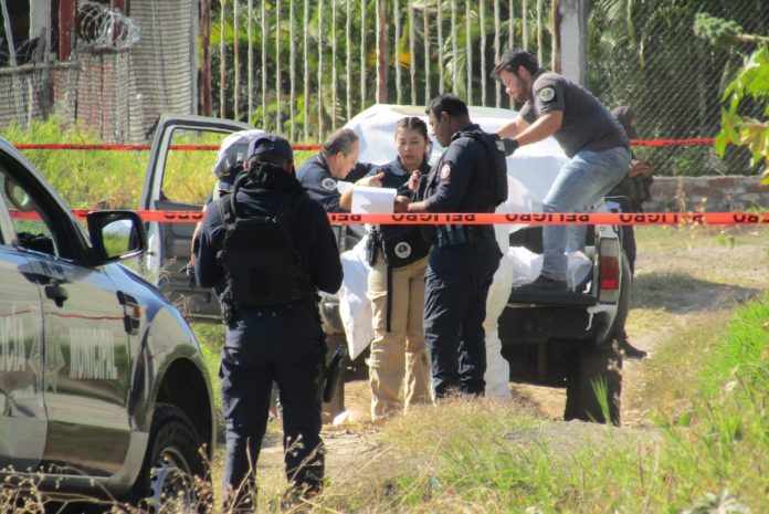 Encuentran a dos mujeres asesinadas en predio baldío de la colonia Ejidal Sur