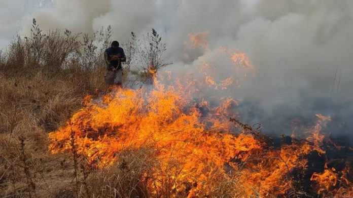 Bomberos sofocan incendio de pastizal cerca del Hospital Regional de Apatzingán