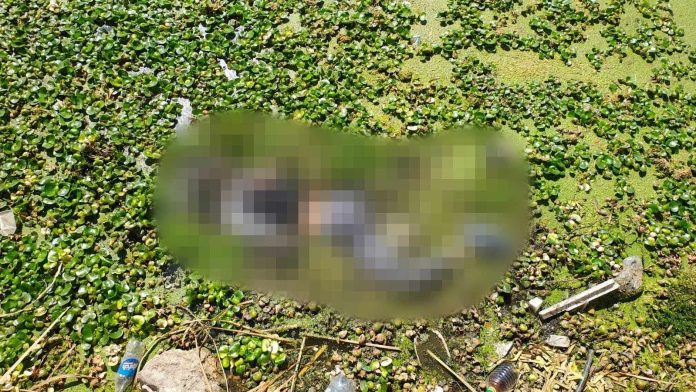 Hallan a hombre ahogado en el Lago de Cuitzeo