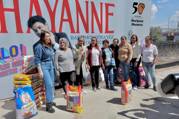 Canjeó gobierno de Michoacán croquetas por 25 mil boletos para el concierto de Chayanne