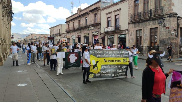 marcha 5