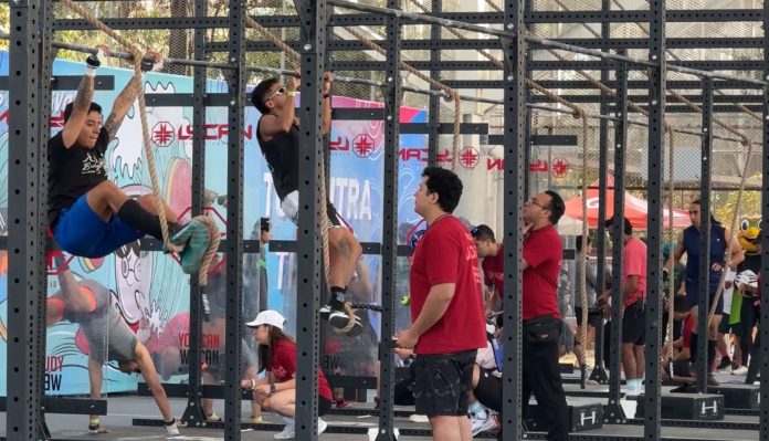 a9c02895-1e7b-47b8-ab33-e4acf00384e9