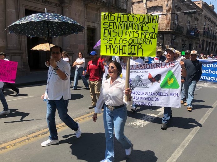 Con marcha, exigen abrir la discusión de la iniciativa que prohíbe la tauromaquia en Michoacán