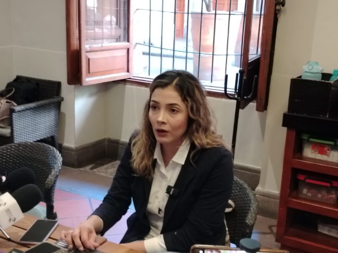 Diputada Brisa Arroyo critica la falta de democracia interna en el PRD