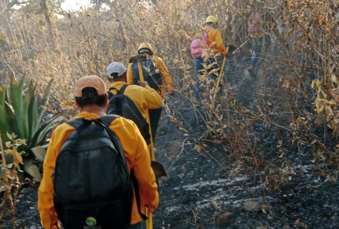 Controlado al 100 % el incendio forestal en Cojumatlán: Cofom