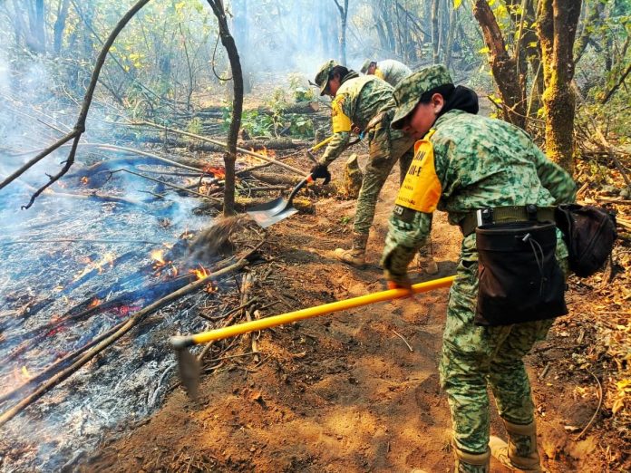 Ejército Mexicano aplica Plan DN-III-E en incendio forestal de Zacapu.