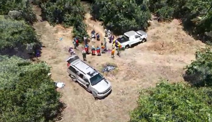 Investigan brote de vapor y agua caliente en huerta de aguacate en Uruapan