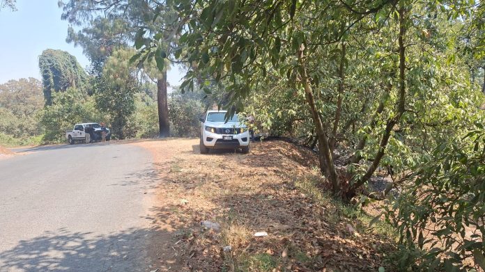 Hallan cadáver calcinado, en huerta de Peribán Hallan cadáver calcinado, en huerta de Peribán