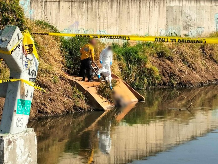 estrangulado Morelia