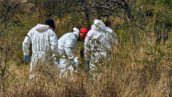 Hallan cabeza humana en Singuio, Álvaro Obregón