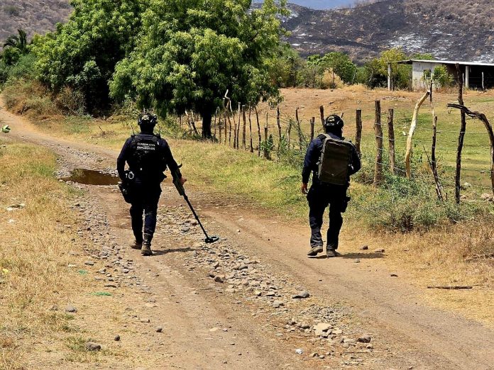 Joven jornalero muere víctima de un explosivo improvisado tipo mina, en El Alcalde