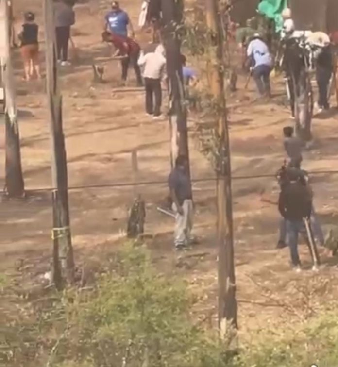 Denuncian ciudadanos e instituciones educativas invasión y ecocidio en el Bosque de Eucaliptos de Morelia
