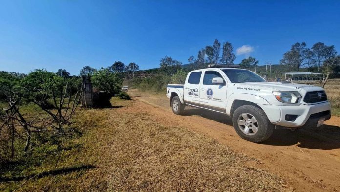 Hallan cadáver humano parcialmente sepultado en predio de Cuitzeo