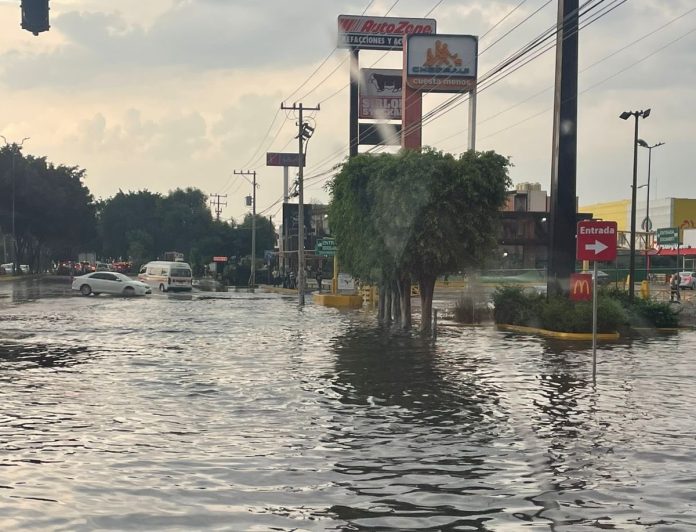En Morelia, lluvias no provocaron inundaciones solo la caída de un árbol