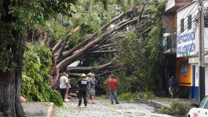 Tenía 42 años el motociclista que murió aplastado por un árbol durante tormenta en Zamora