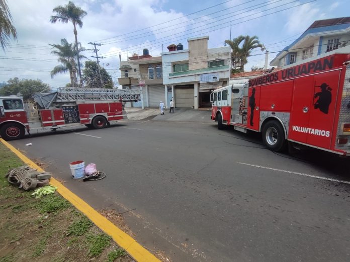 Enjambre de abejas deja seis heridos en Uruapan; una persona inconsciente