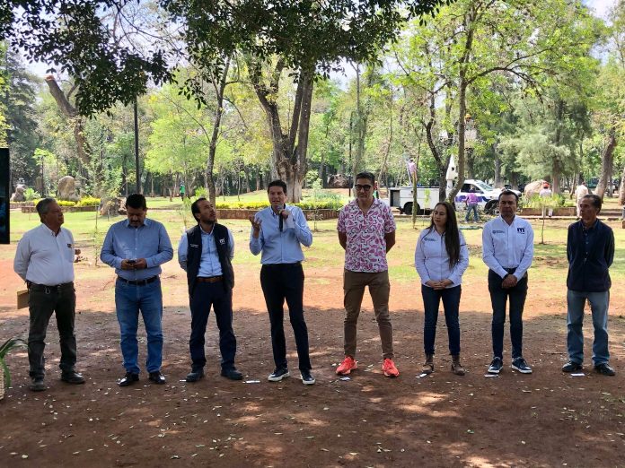Realizará ayuntamiento poda sanitaria en 7 mil árboles de Morelia