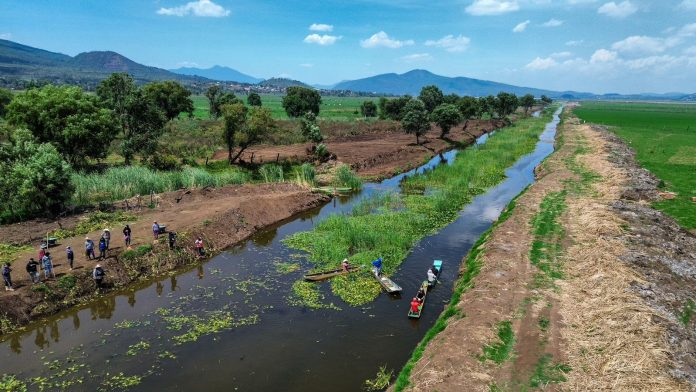 Lago de Pátzcuaro renace con 5 nuevos manantiales en Urandén: Compesca