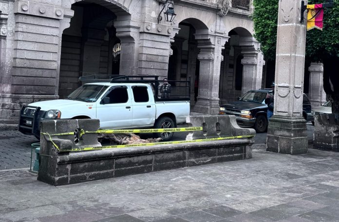 Costará hasta 60 mil pesos, reparación de banca dañada por árbol en Plaza de Armas