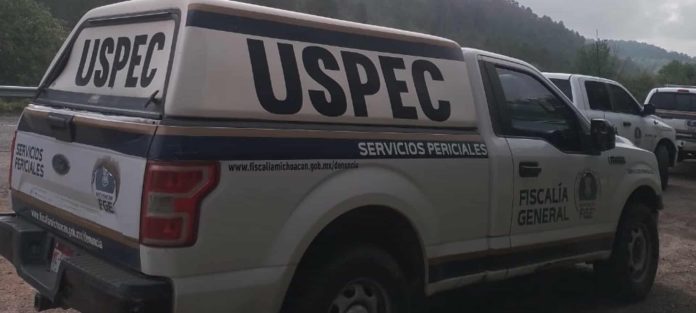 Hallan a 2 hombres descuartizados y embolsados en el municipio de Queréndaro