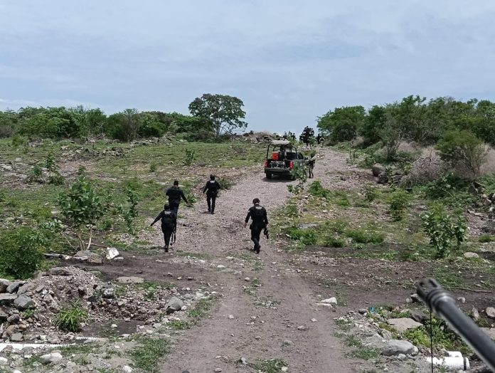 Guayabo 2