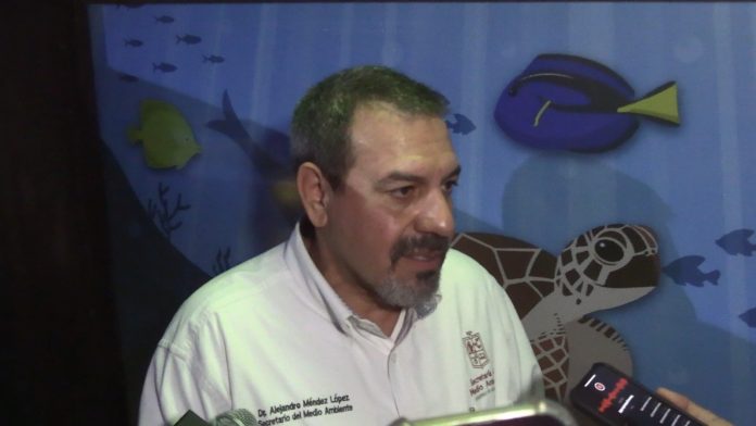 70% del aguacate michoacano de exportación va libre de deforestación: SECMA 70% del aguacate michoacano de exportación va libre de deforestación: SECMA