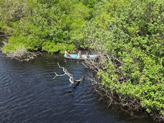 Adolescente muere tras caer a canal y ser atacado por cocodrilos en Lázaro Cárdenas Adolescente muere tras caer a canal y ser atacado por cocodrilos en Lázaro Cárdenas
