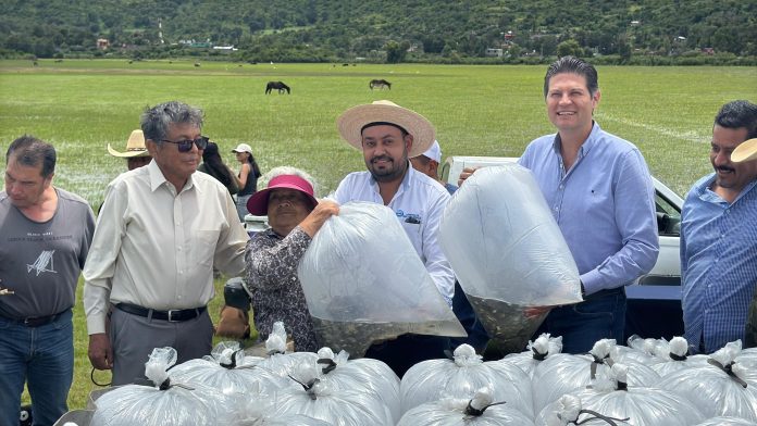 Dispersan 100 mil tilapias en 5 tenencias de Morelia Dispersan 100 mil tilapias en 5 tenencias de Morelia