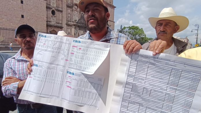Productores de maíz de Michoacán exigen precio justo y créditos accesibles; advierten crisis en el campo Productores de maíz de Michoacán exigen precio justo y créditos accesibles; advierten crisis en el campo