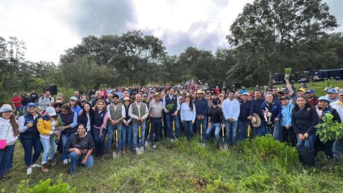 Plantará ayuntamiento de Morelia 68 mil árboles en 2025 Plantará ayuntamiento de Morelia 68 mil árboles en 2025