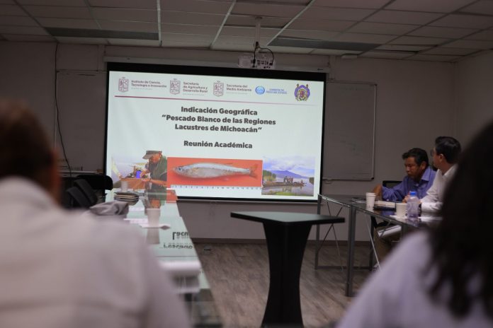 Pescado blanco de Pátzcuaro será protegido con Indicación Geográfica: ICTI