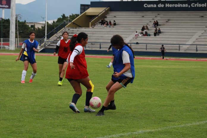 Cientos de aspirantes se registran en visoría del equipo femenil de TDP de la UMSNH  Cientos de aspirantes se registran en visoría del equipo femenil de TDP de la UMSNH