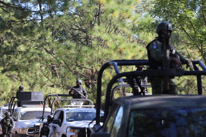 WhatsApp Image 2025-09-18 at 12.17.08 PM (3)