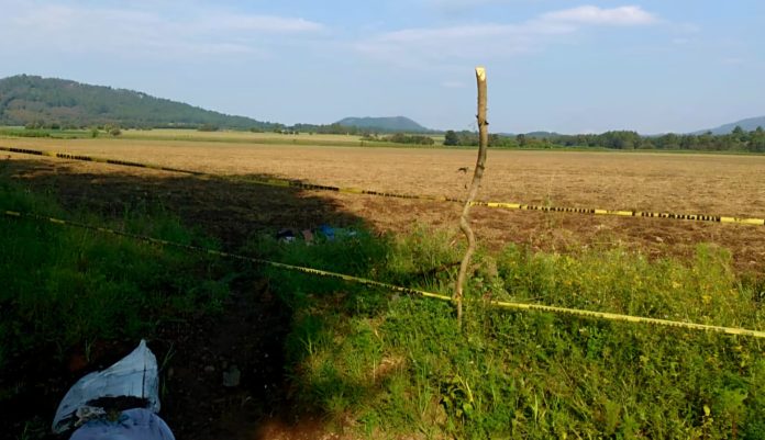 Hallan cadáver de un hombre joven en camino rural de Charapan Hallan cadáver de un hombre joven en camino rural de Charapan