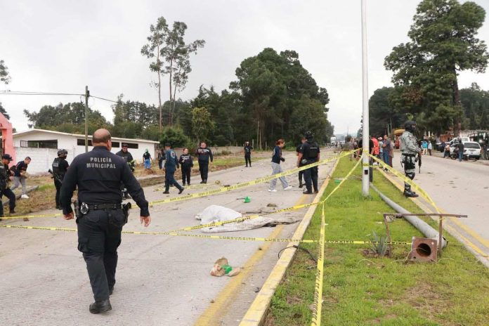 WhatsApp Image 2025-09-19 at 2.18.21 PM (2)