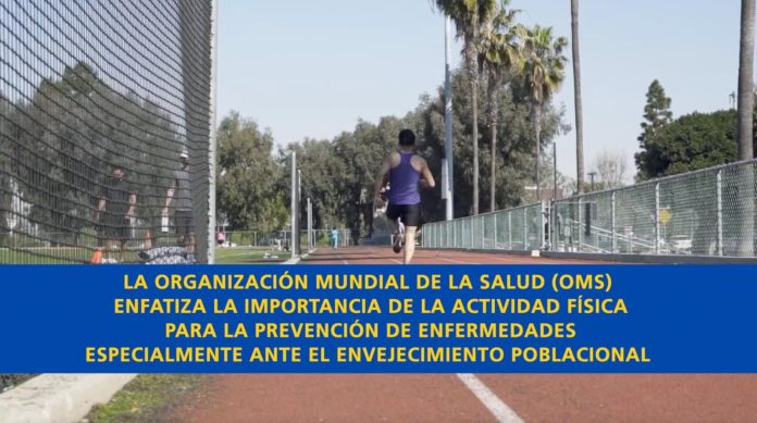 WhatsApp Image 2025-09-26 at 1.04.54 PM