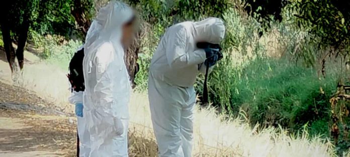 Localizan cráneo humano y prendas en predio entre los límites de Capula y Tacícuaro Localizan cráneo humano y prendas en predio entre los límites de Capula y Tacícuaro