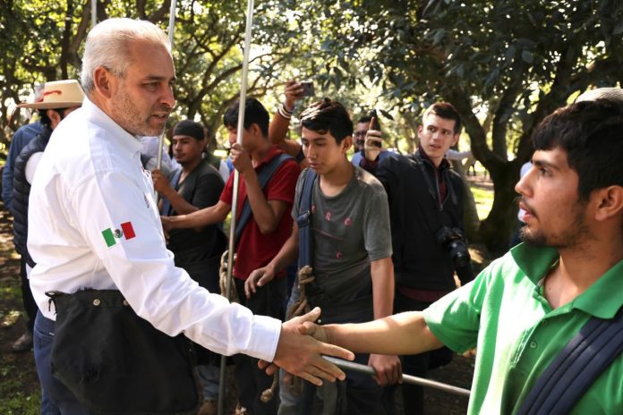 Con más de 3.8 millones de toneladas, Michoacán lidera producción nacional de aguacate, limón y berries Con más de 3.8 millones de toneladas, Michoacán lidera producción nacional de aguacate, limón y berries