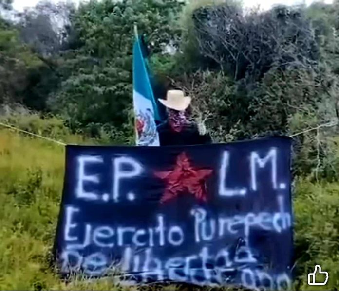 Ejército Purépecha