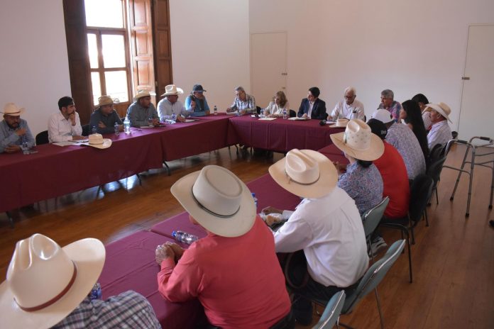 WhatsApp Image 2025-10-14 at 8.11.47 PM