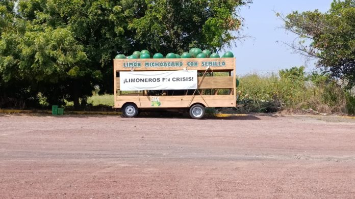 Desolación y miedo en el Tianguis Limonero de Apatzingán tras asesinato de su líder