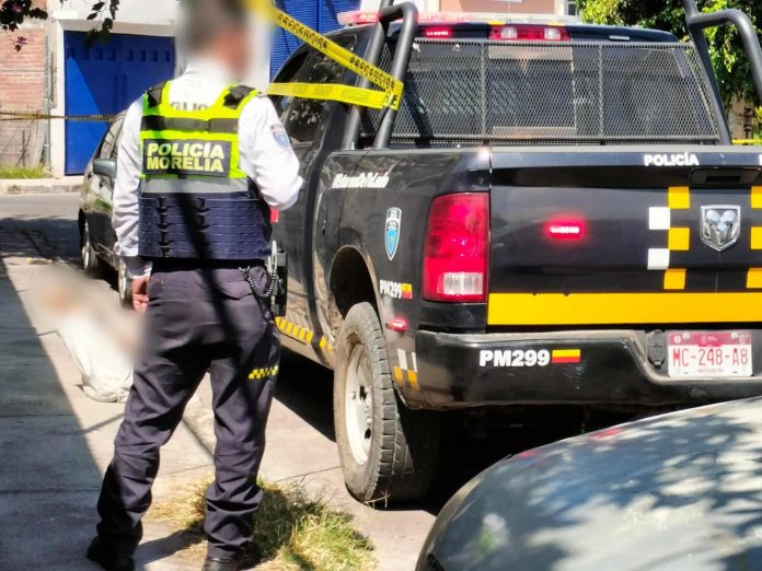 Matan a 5 chihuahuas y los dejan en la colonia Carlos Salazar, Morelia