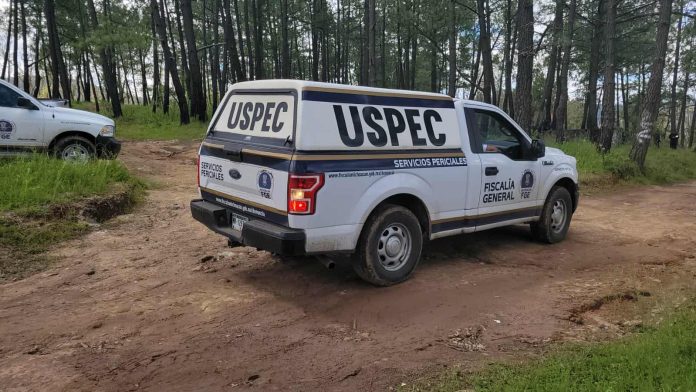 Hallan a hombre asesinado en zona boscosa del municipio de Madero Hallan a hombre asesinado en zona boscosa del municipio de Madero