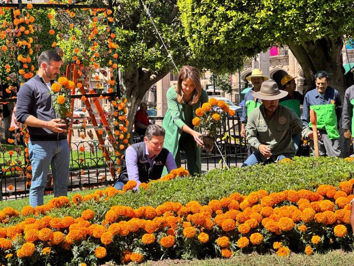 Adornan Morelia con altares, plantas de cempasúchil y cráneos monumentales