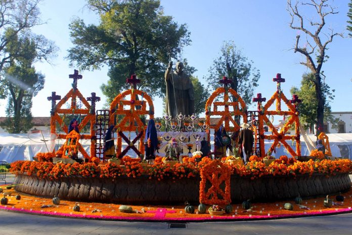 WhatsApp Image 2025-10-23 at 8.29.24 PM