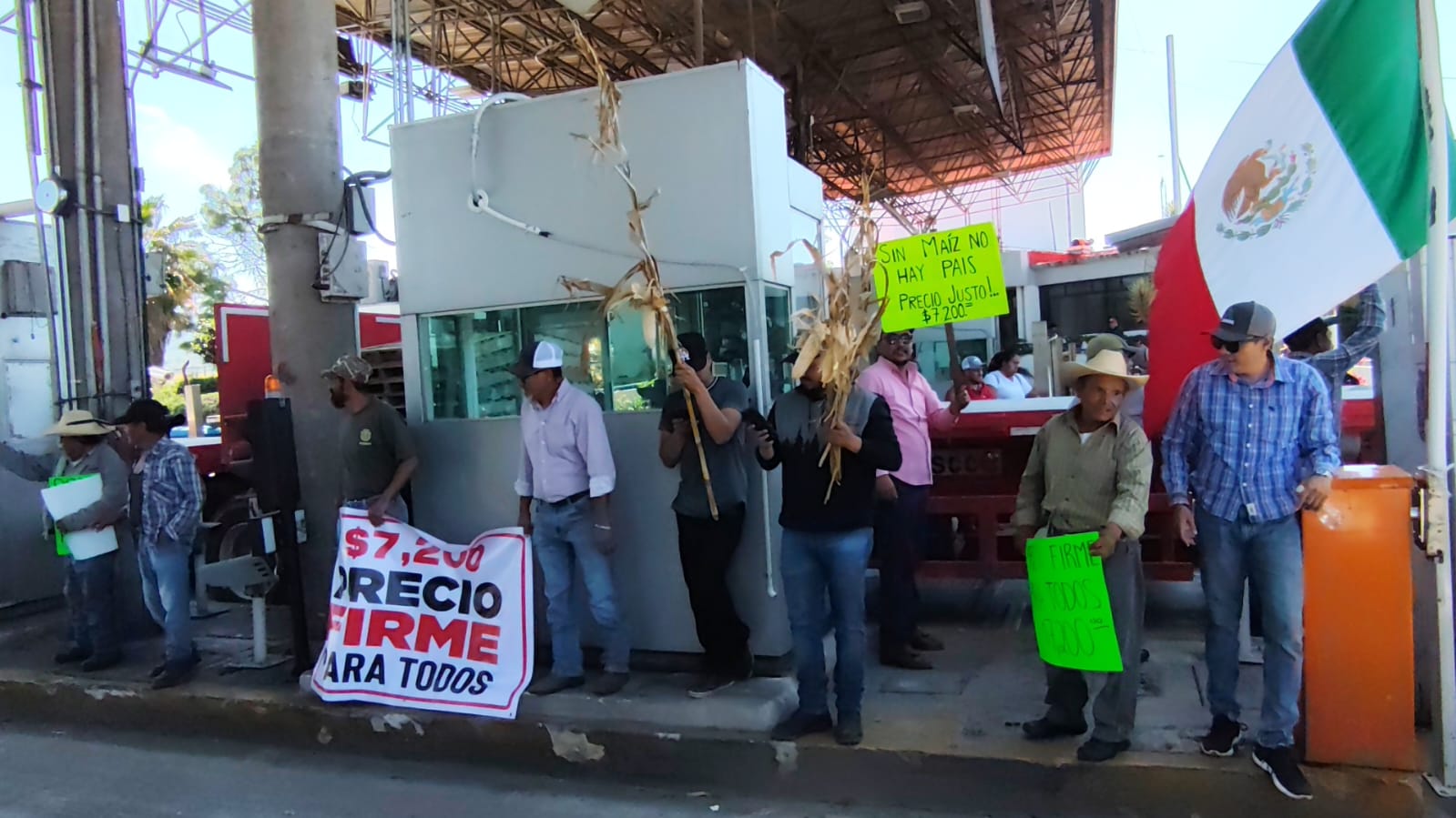 WhatsApp Image 2025-10-27 at 7.29.54 PM